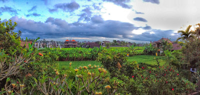 Boutiique Hotels Amid Rice Fields