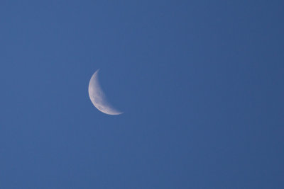 AO5C0657.JPG