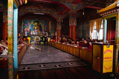JDP2873.jpg