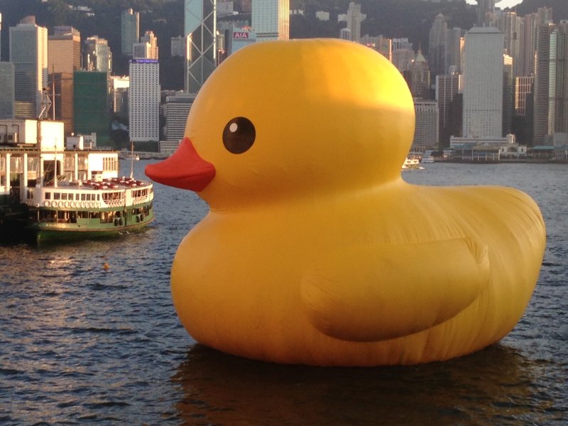 Duck.JPG