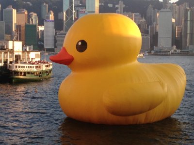 Duck.JPG