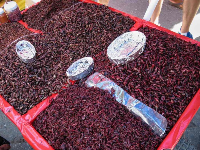 Dried Crickets