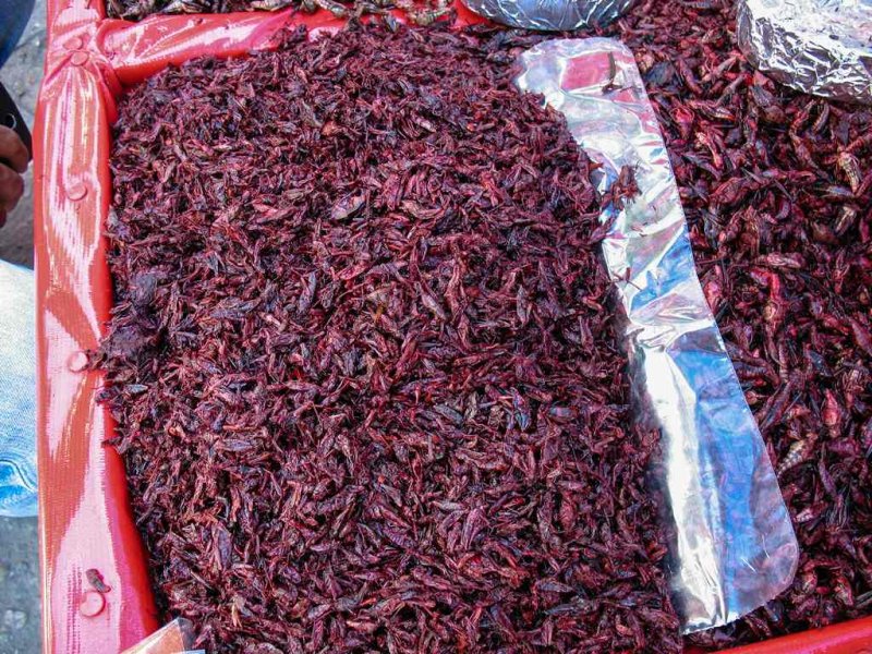 Dried Crickets