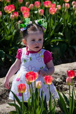 40D_02701_V_LR