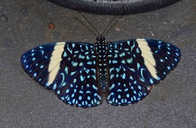 g9/28/905928/3/151550968.kAtpurZX.jpg