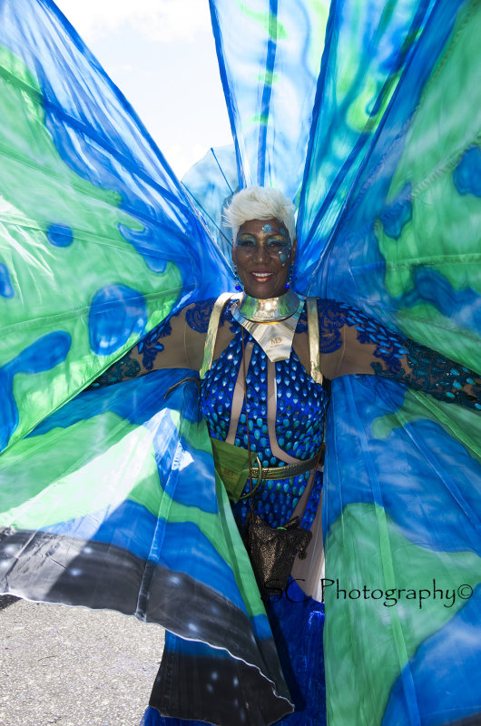 IMGP0240   Sherlon C Photographer copy.jpg