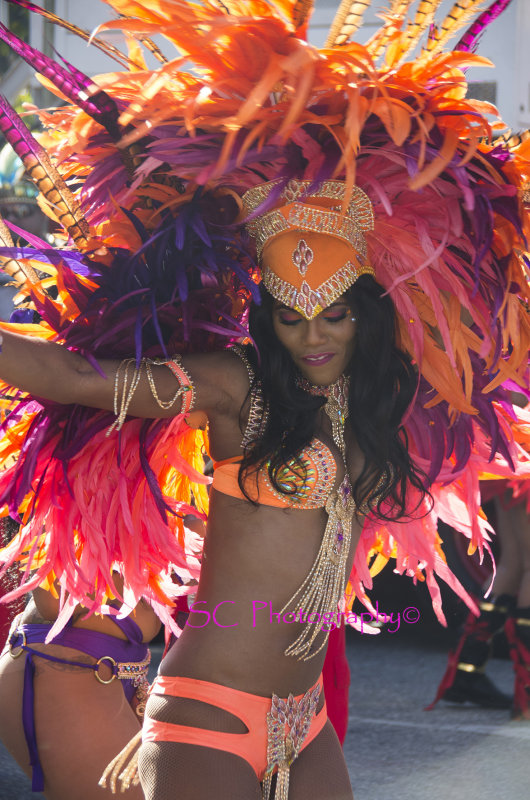 IMGP9529   Sherlon C Photographer copy.jpg