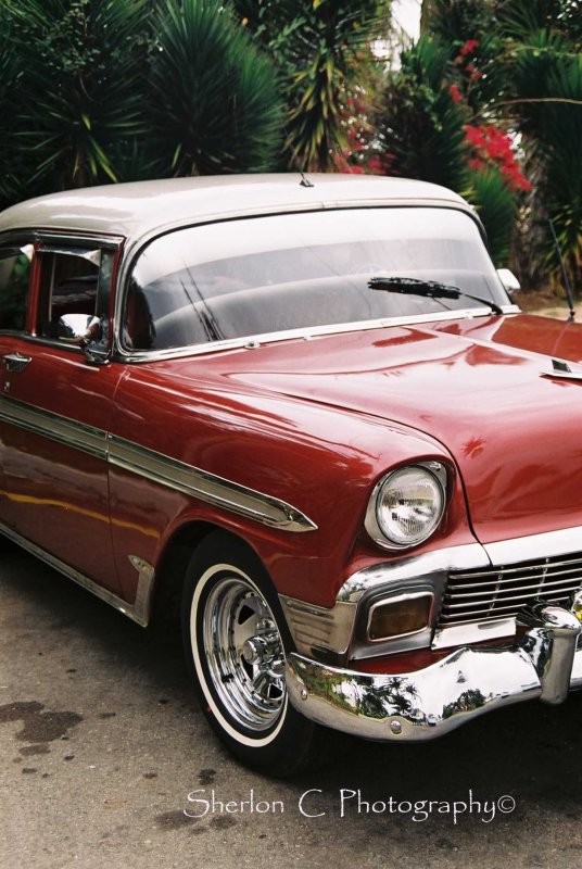 F1000014 copy.jpg