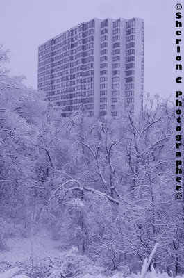 IMGP3062 copy.jpg