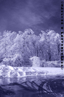ice_storm