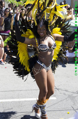 IMGP1859 ©Sherlon C Photographer© copy.jpg