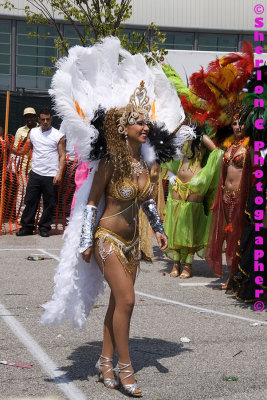 IMGP0559 ©Sherlon C Photographer© copy.jpg