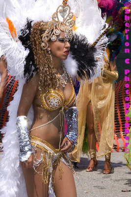 IMGP0570 ©Sherlon C Photographer© copy.jpg