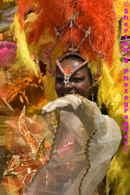 IMGP0581 ©Sherlon C Photographer© copy.jpg