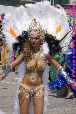 IMGP0583 ©Sherlon C Photographer© copy.jpg