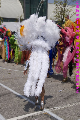 IMGP0584 ©Sherlon C Photographer© copy.jpg