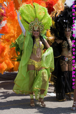 IMGP0634 ©Sherlon C Photographer© copy.jpg
