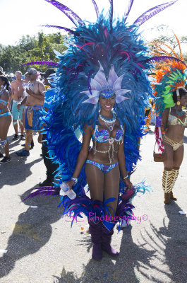 IMGP9730 ©Sherlon C Photographer© copy.jpg