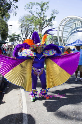 IMGP9761 ©Sherlon C Photographer© copy.jpg