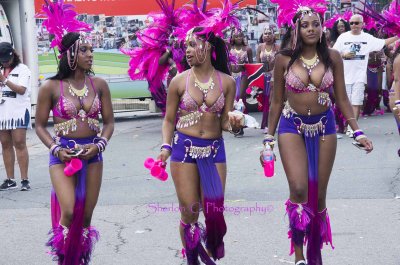 IMGP4078 ©Sherlon C Photographer© copy.jpg