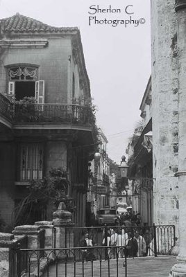 F1020002 ©Sherlon C Photographer©.JPG