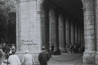 F1020012 ©Sherlon C Photographer©.JPG