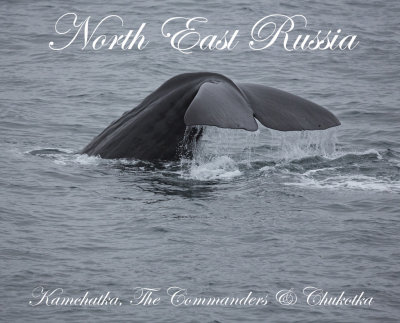 North East Russia: Kamchatka to Chukotka