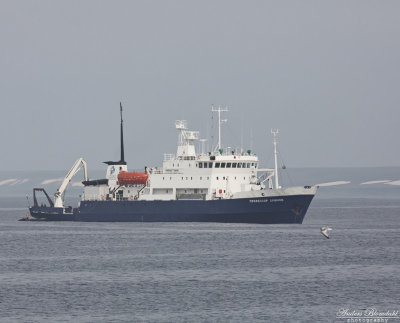 Spirit of Enderby