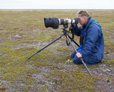 Photographing Spoon-billed Sandpiper