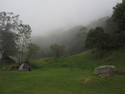IMG_4521.JPG