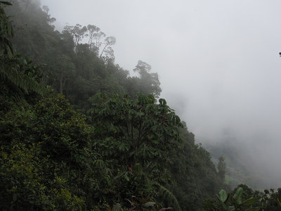 IMG_4529.JPG