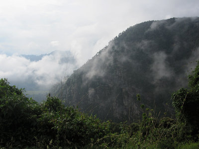 IMG_4534.JPG