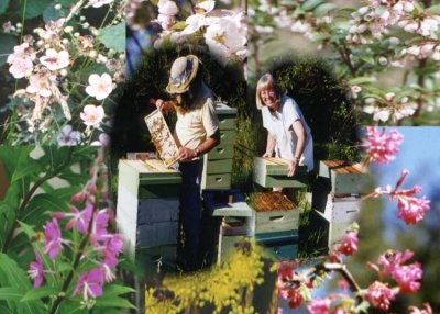 42 beekeepers and flowers.jpg