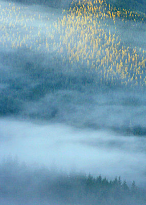 04 mountain morning mist
