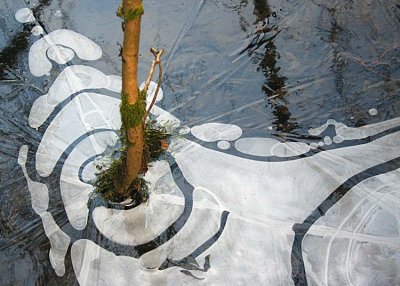 04 winter pond pattern 