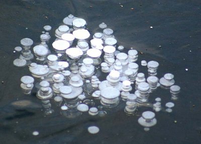 17 bubbles in thick ice