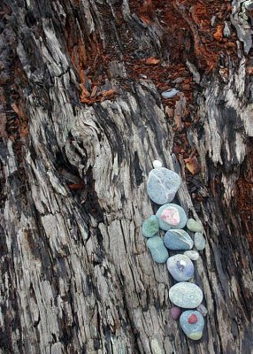 24 colorful pebbles at rialto beach