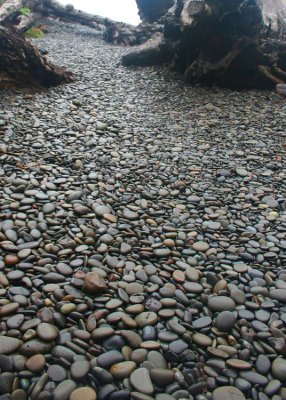 18 pebble path to rialto beach