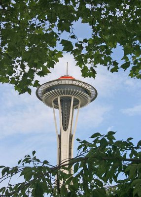 07 space needle through leaves