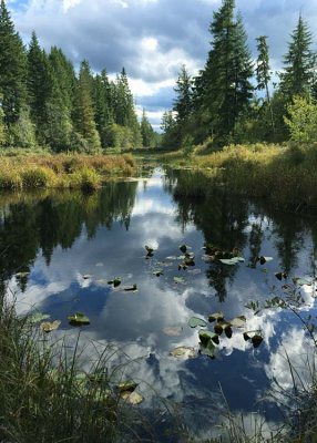 38 blacksmith tahuya pond