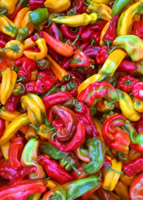15 tonnemaker peppers