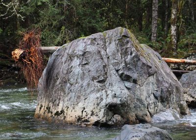 75 old man river rock's head speared by a sasquatch arrow