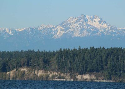 view of the olympics from kopachuck beach