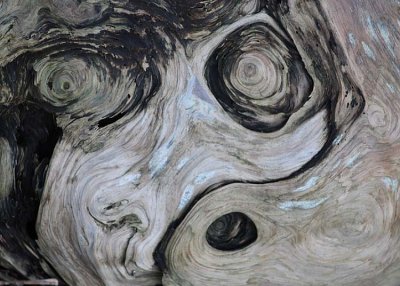 witnessing Edward Munch's The Scream