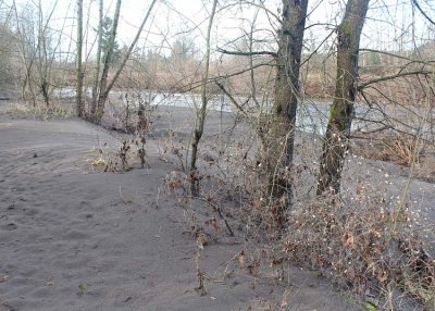 46 sand and silt after flooding