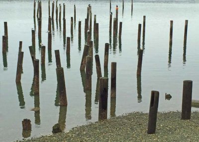 titlow beach