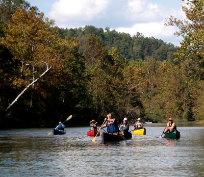Here they come - North Fork Oct 2013.jpg