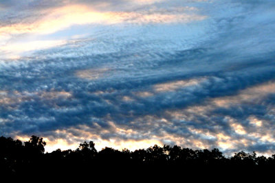 Wed am Twin Bridges campground2.jpg