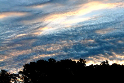 Wed am Twin Bridges campground3.jpg