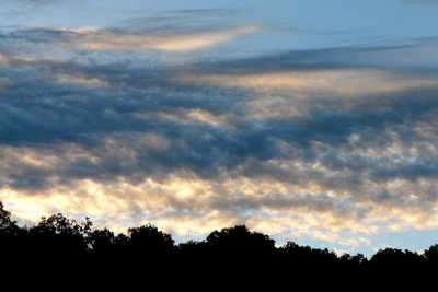 Wed am Twin Bridges campground5.jpg